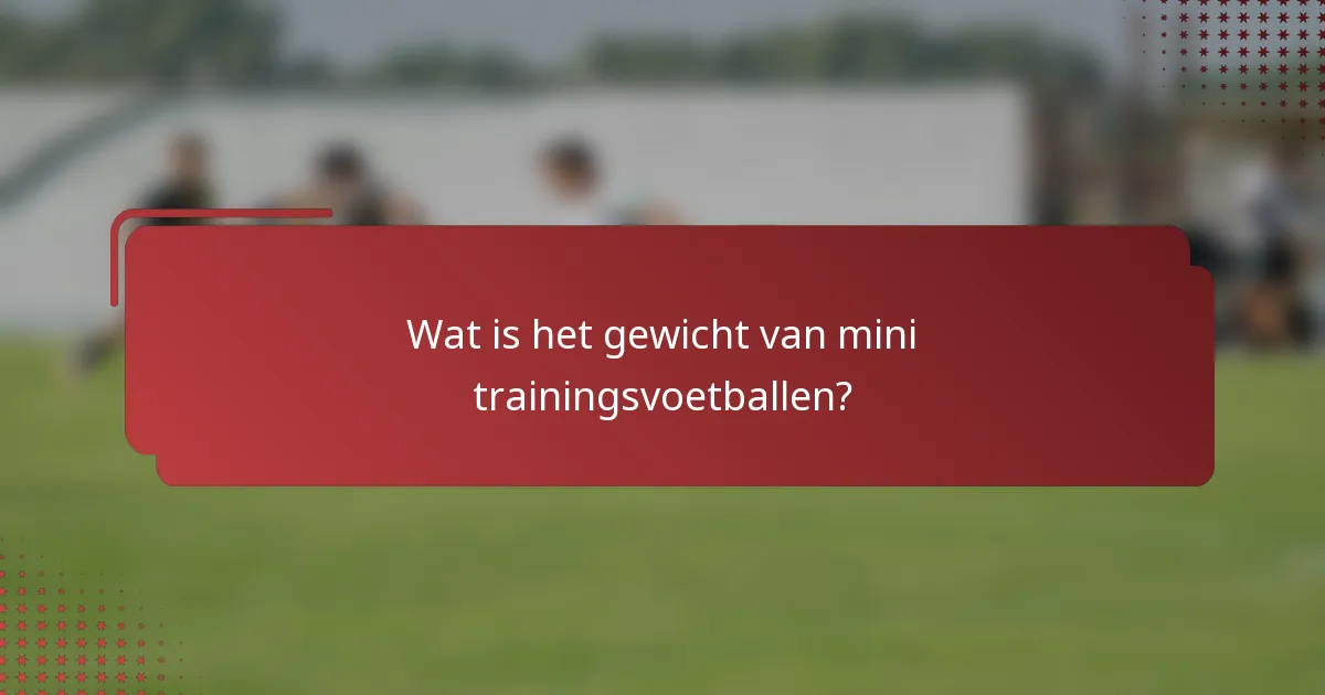 Wat is het gewicht van mini trainingsvoetballen?
